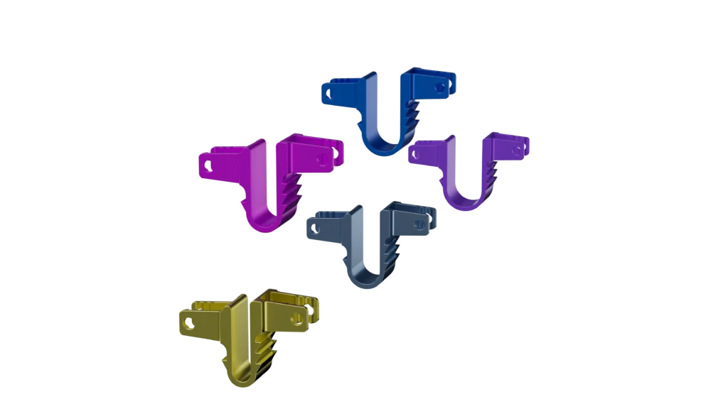 10 Flexus 2
